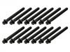 Cylinder Head Bolt:11 12 1 721 938