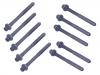 Cylinder Head Bolt:1306341