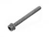 Cylinder Head Bolt:022 103 384 C