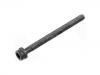 Cylinder Head Bolt:022 103 384 D