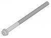 Cylinder Head Bolt:1 073 369S