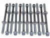 Cylinder Head Bolt:11095-AA042