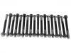 Cylinder Head Bolt:11056-09D61