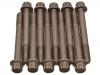 Cylinder Head Bolt:0K955-10-135