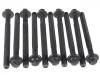 Cylinder Head Bolt:9112240