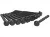 Cylinder Head Bolt:7696197