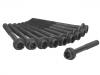 Cylinder Head Bolt:7795992