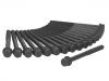 Cylinder Head Bolt:22321-4A000