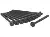Cylinder Head Bolt:77 01 473 543