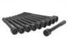 Cylinder Head Bolt:11056-4M500