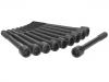 Cylinder Head Bolt:11056-53Y00