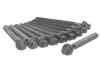 Cylinder Head Bolt:0204.A0