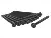 Cylinder Head Bolt:0204.98