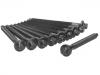 Cylinder Head Bolt:0204.90