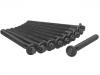 Cylinder Head Bolt:77 01 471 366