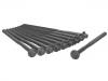 Cylinder Head Bolt:266 016 02 69