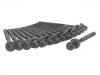 Cylinder Head Bolt:11 12 9 067 790