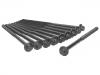 Cylinder Head Bolt:651 016 04 69