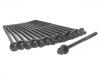 Cylinder Head Bolt:11 12 7 798 532