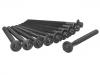 Cylinder Head Bolt:0204.A5