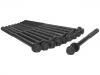 Cylinder Head Bolt:90005-RBD-E01