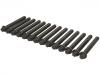 Cylinder Head Bolt:11 12 7 831 862