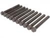 Cylinder Head Bolt:906 016 07 69