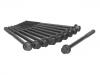 Cylinder Head Bolt:07 13 1 487 226