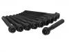 Cylinder Head Bolt:102 990 08 10