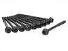 Cylinder Head Bolt:032 103 384 B